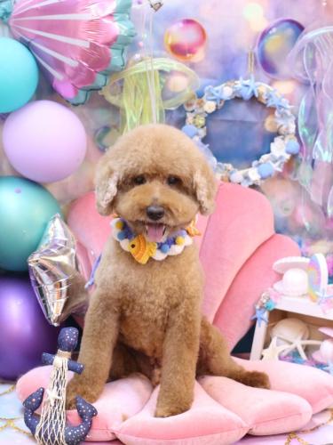 20240814ジョンくん